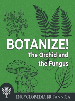 cover image of The Orchid and the Fungus